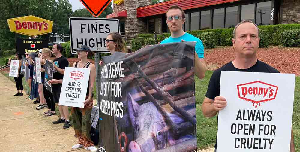 Protestors holding signs at Denny's in Raleigh, NC