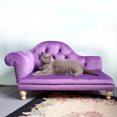 A purple chaise longue for a cat, with a grey cat on it