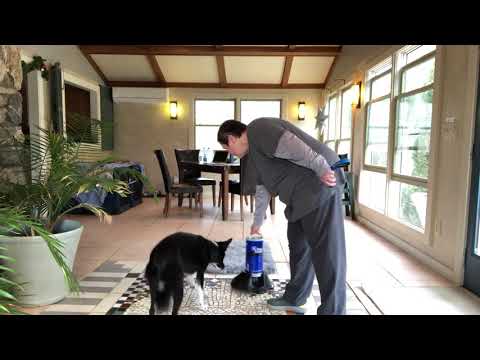 Star 3 step door manners