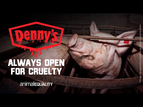 DENNY'S: END THE USE OF CAGES FOR PIGS