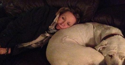 Animals Without Limits: HAPPY 2017