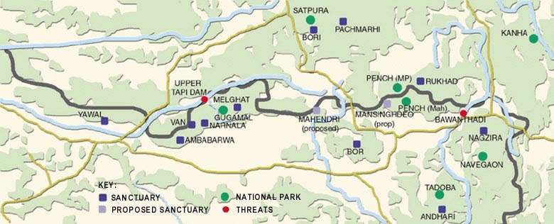 Tiger Conservation - Tiger safari - Wildlife Blogs