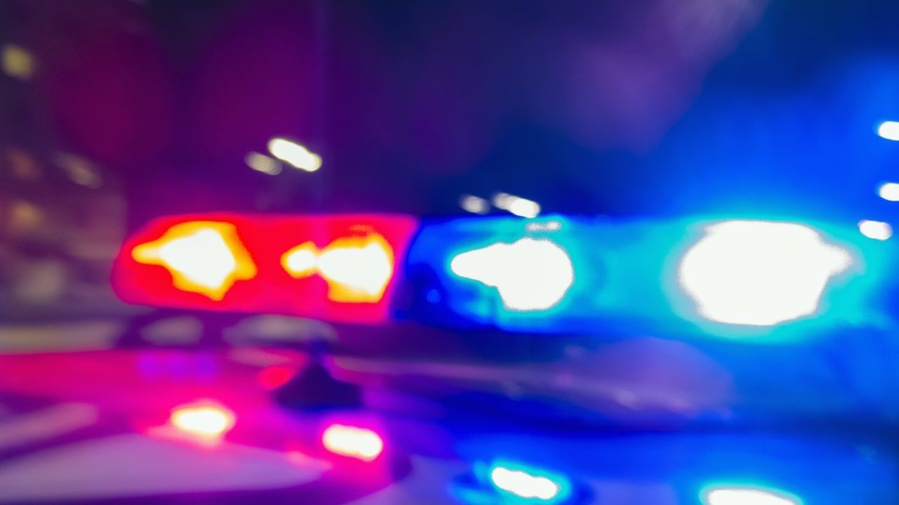 18-year-old arrested for animal cruelty in Orangevale