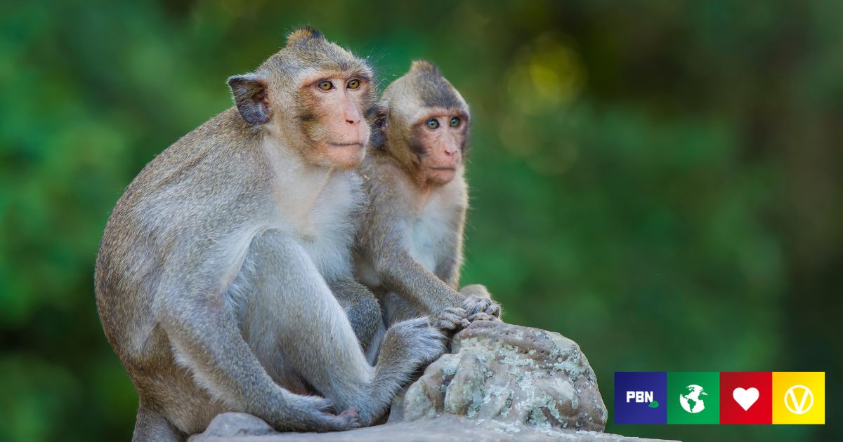 Humans Have Wiped Out 70% Of Animal Populations Since 1970, Study Finds