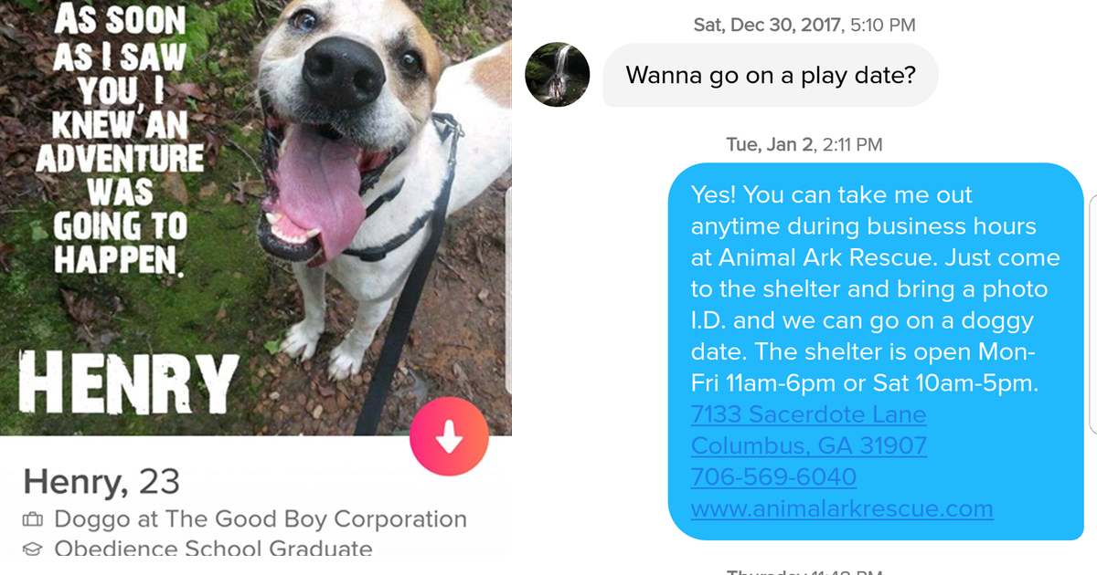 Innovative Thinking Has Potential Adopters Swiping Right for Their Dream Dog