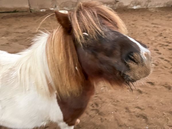 Into the School | My Shetland