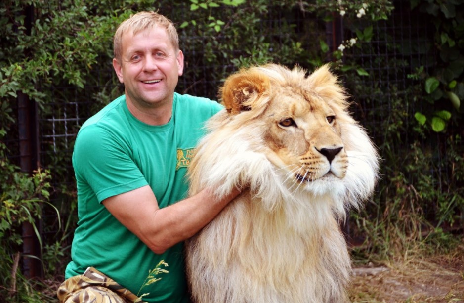 Keeping and Caring For Lion as a Pet