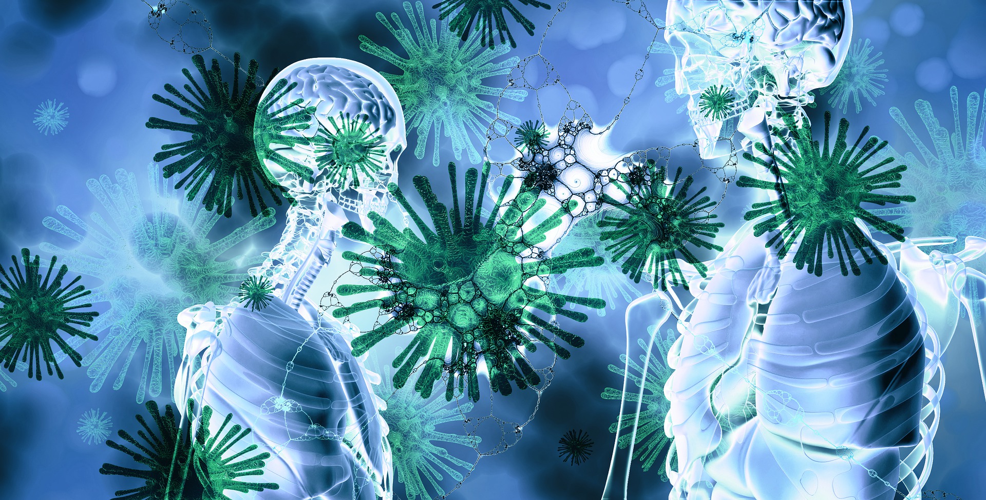 One Health Joint Plan of Action to address health threats to humans, animals, plants and environment