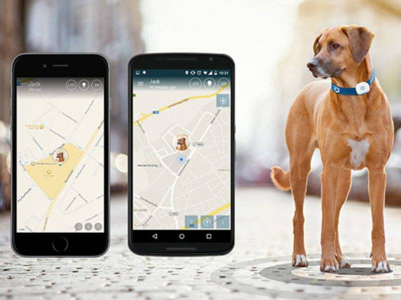 Pet GPS