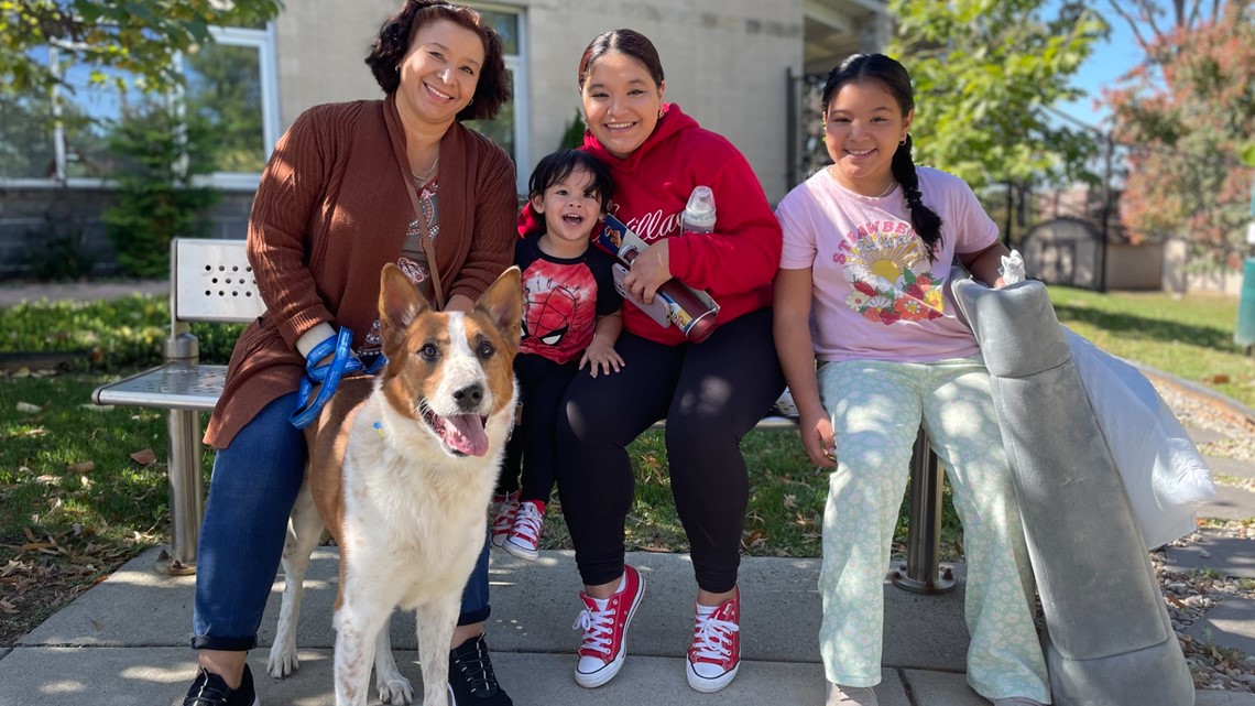 Virginia family looking for dog at animal shelter got a surprise