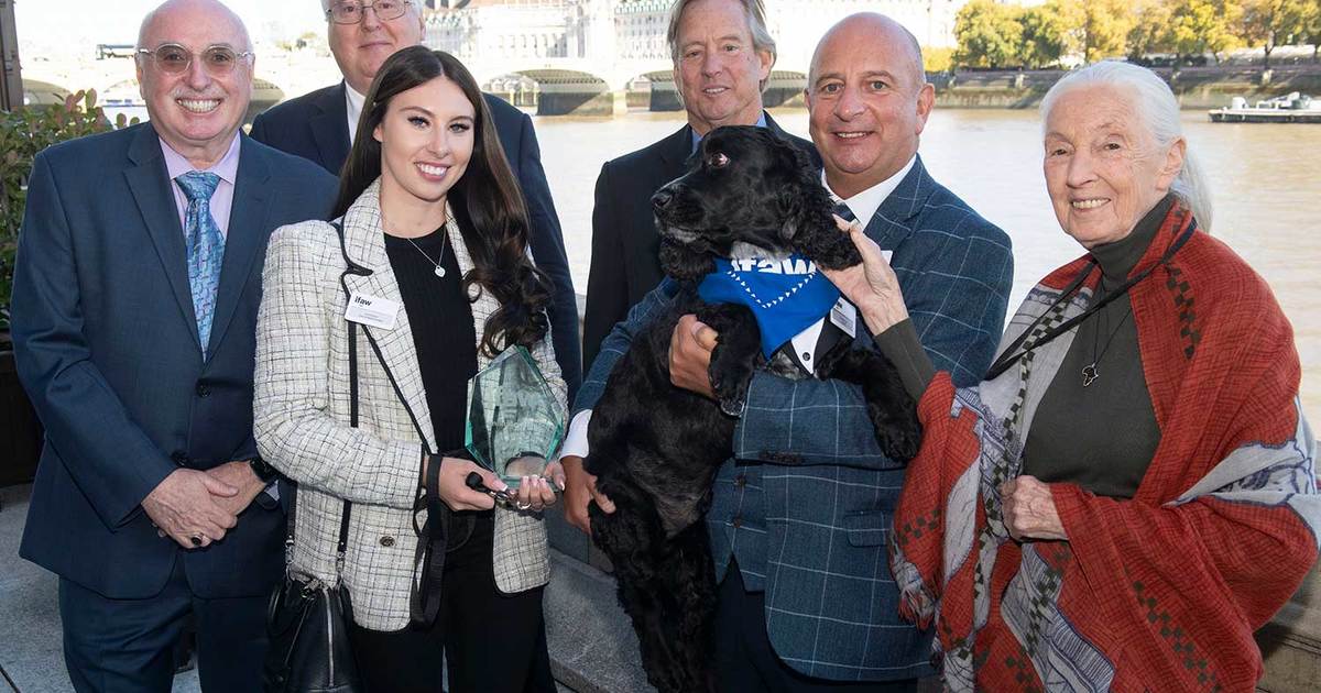 ifaw’s 2022 Animal Action Award winners