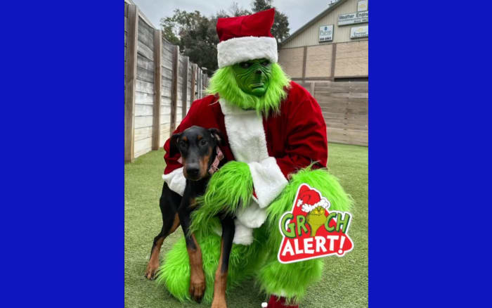 Jacksonville animal shelter says scammer stole over $20,000 from bank account