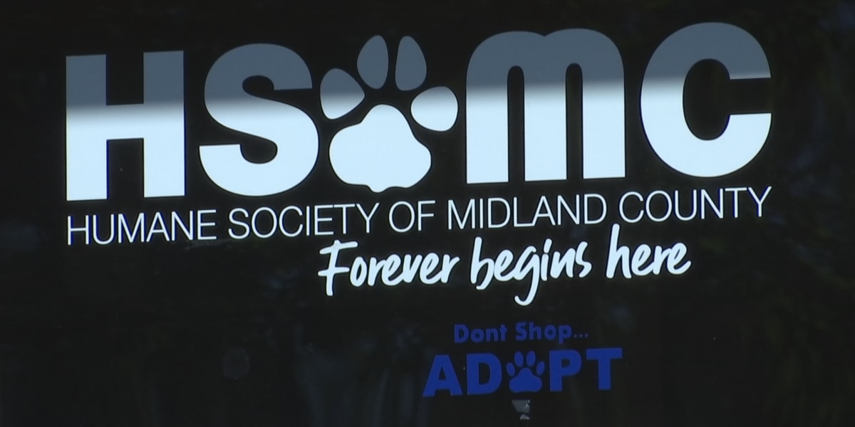 Humane society discusses animal abuse laws