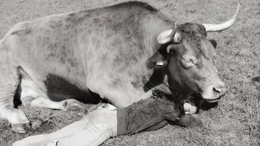 Yana Wernicke’s photographs show the unique companionship of animals