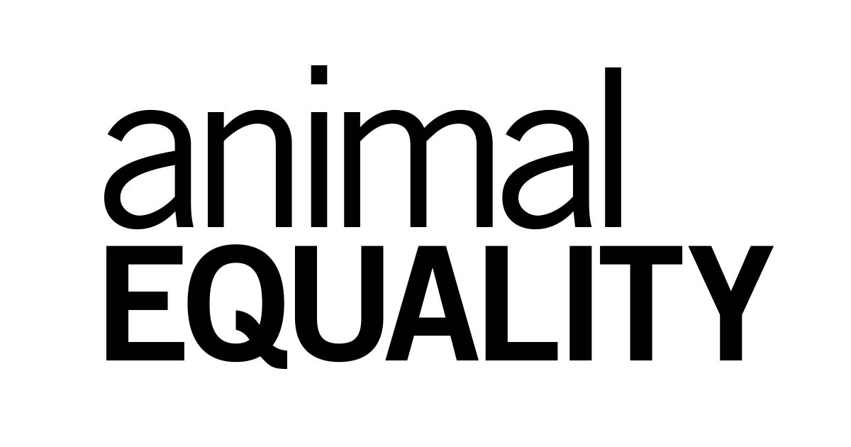 8 years investigating dog and cat meat trade