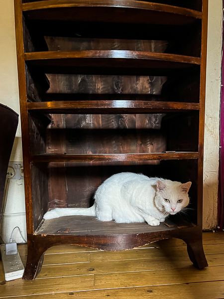 If I fits, I sits!