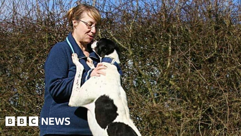 Kidsgrove animal charity ‘facing crisis’ over demand for help