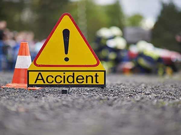 1 killed as stray animal hits bike