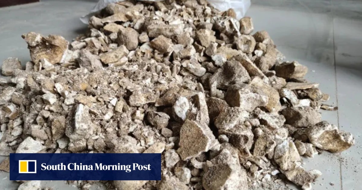 Dragon bone thieves: how centuries-old custom of eating animal fossils drives an underground trade