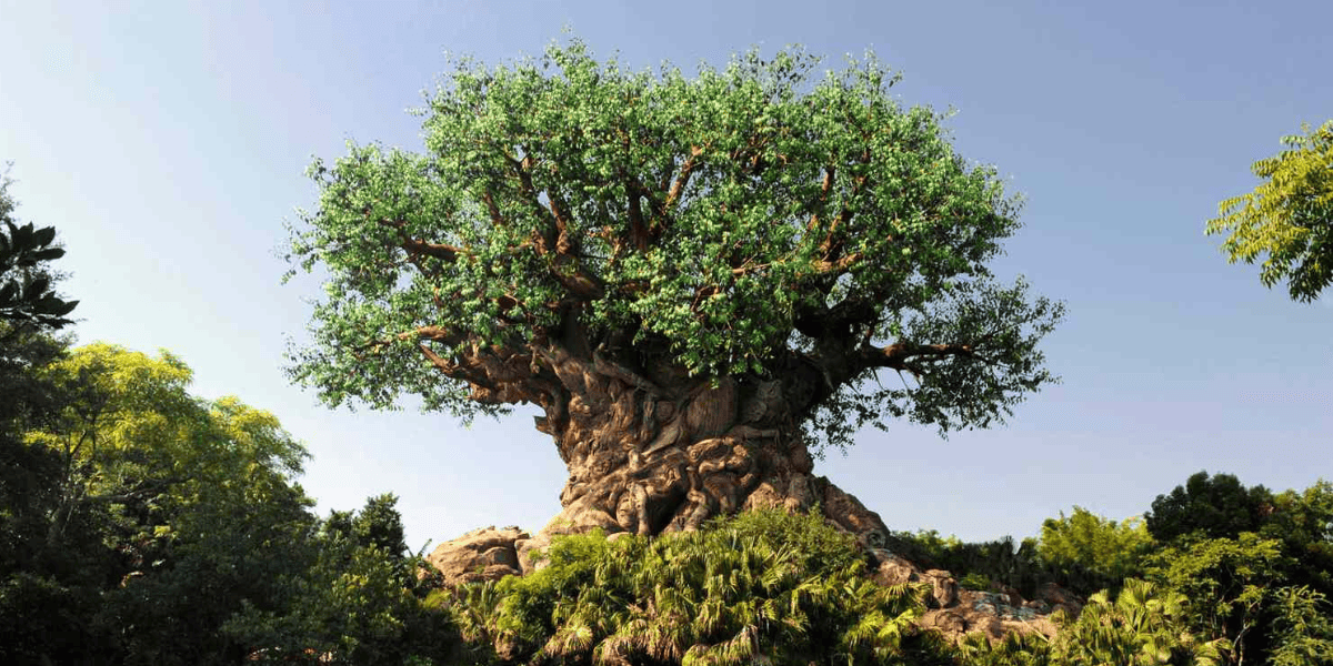 Tree of Life at Discovery Island