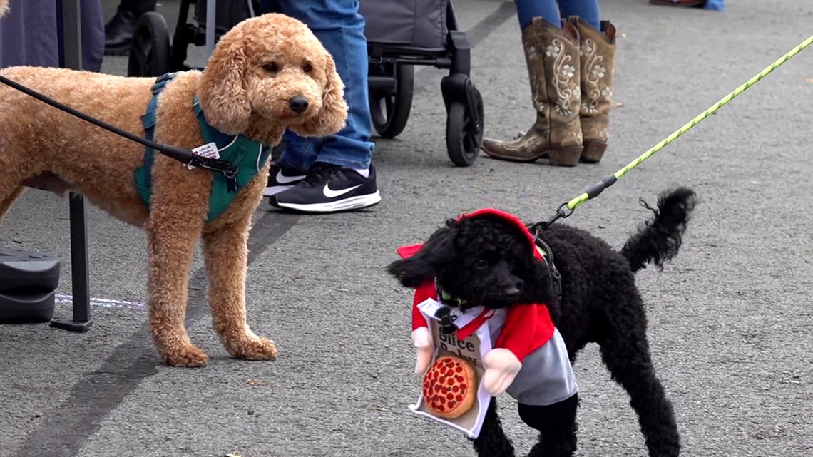Griffin Pond Animal Shelter holds Barktober Fest