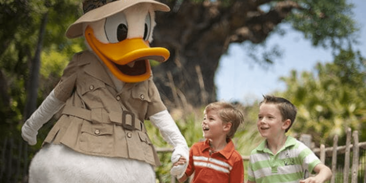 Impending Animal Kingdom Shutdown Sparks Guest Debate