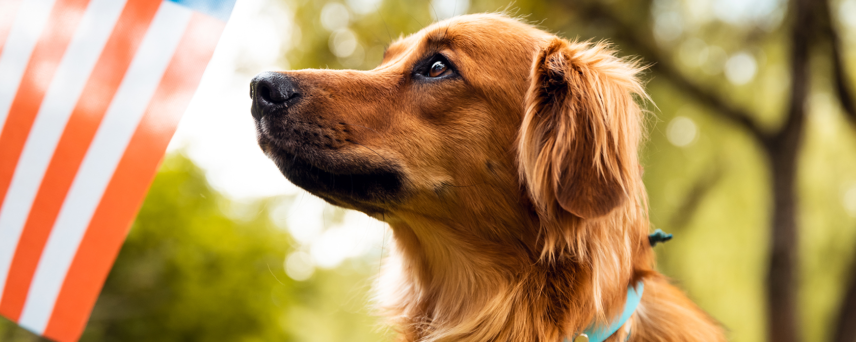 2023 Election Recap: Another stellar year for humane candidates
