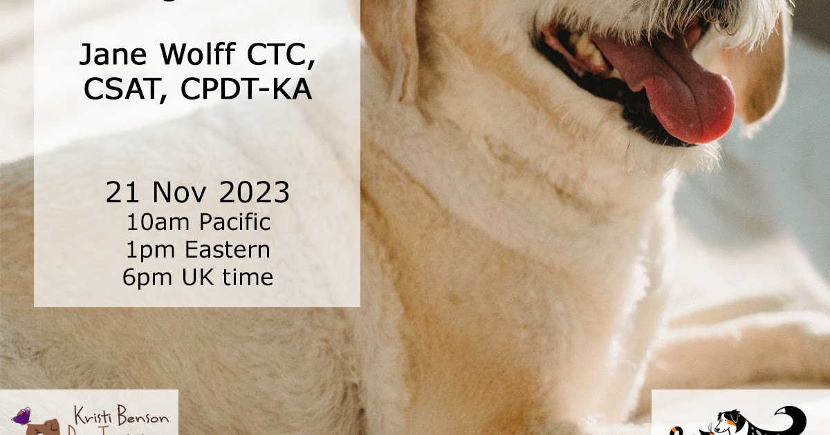 Training Your Dog to Lay on Their Side by Jane Wolff CTC CSAT CPDTKA
