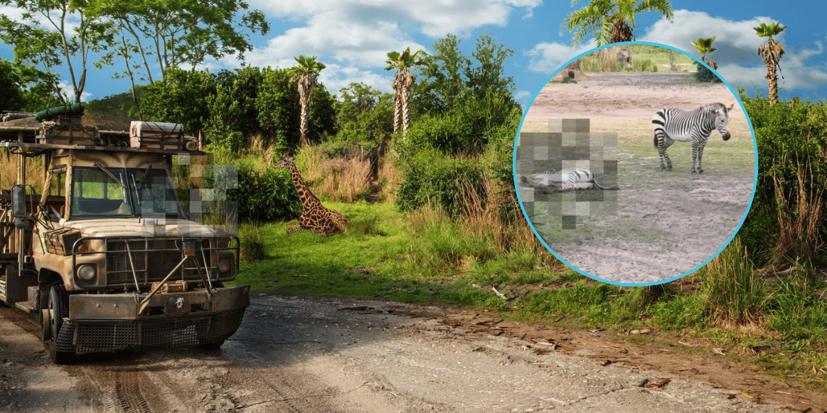 Kilimanjaro Safaris Animal Terrifies Disney World Guests