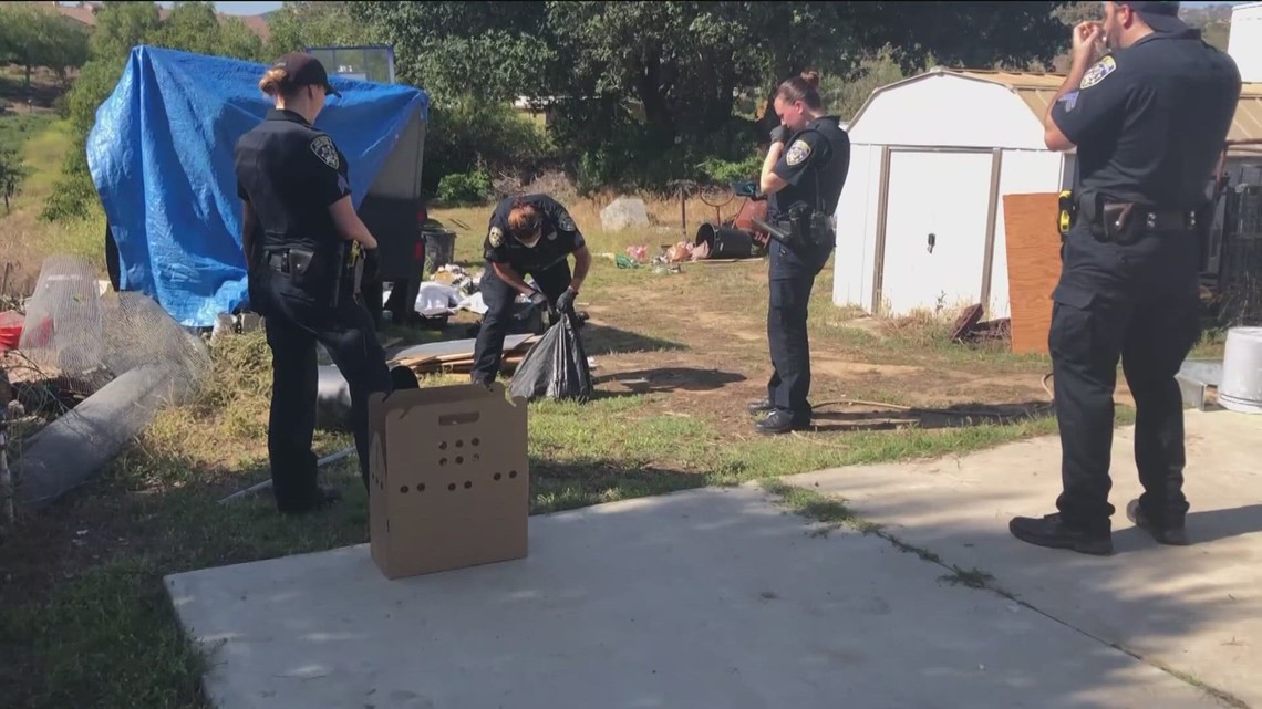 Escondido man to be sentenced for torturing, killing cats