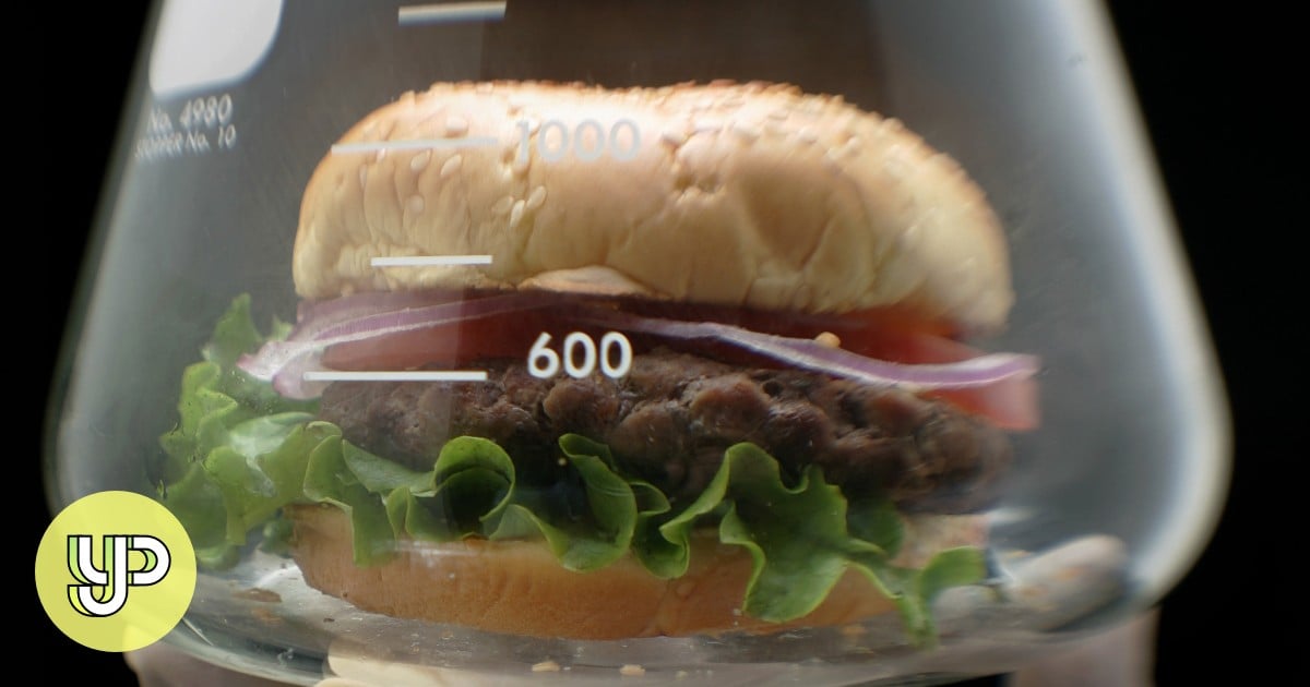 Face Off: Should lab-grown meat replace traditional animal farming? – YP
