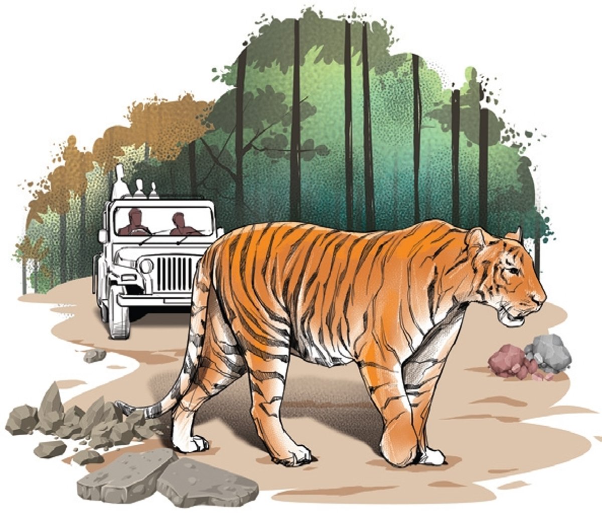 Kerala, Karnataka and Tamil Nadu to hold wild animal census