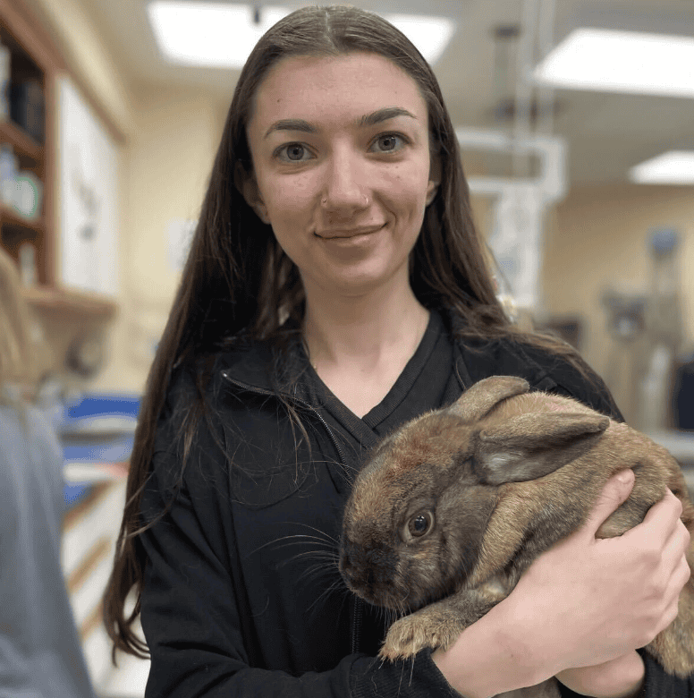Mocha Rabbit Needs Urgent Surgery