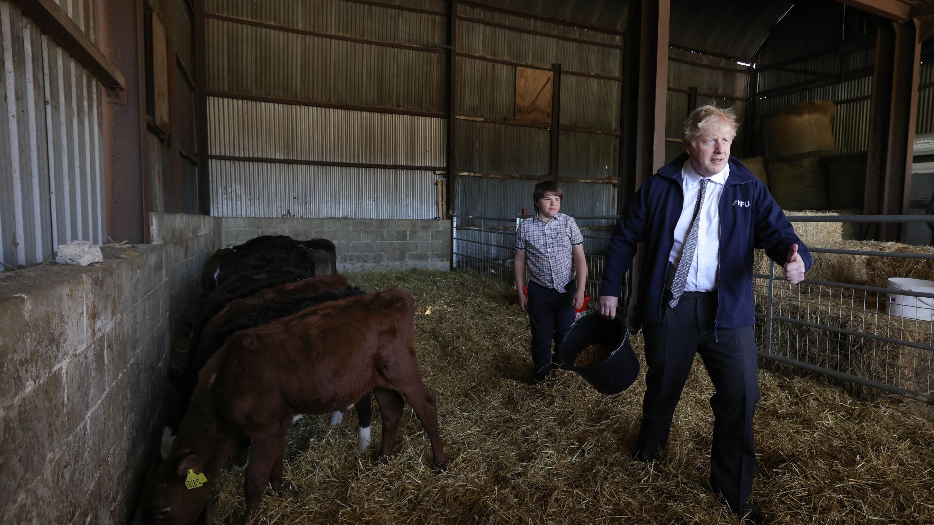 Why it’s time for Conservative animal rights advocates to step up