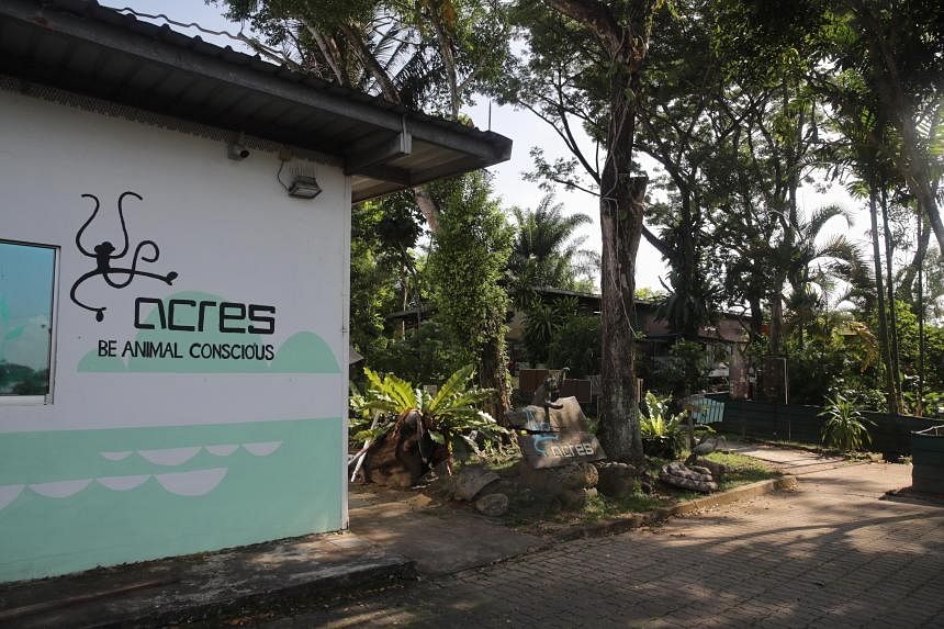 Acres wildlife rescue hotline no longer 24 hours from June 15 due to lack of funds, increased calls
