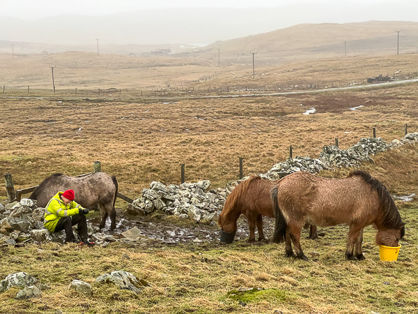 Gainful Employment | My Shetland